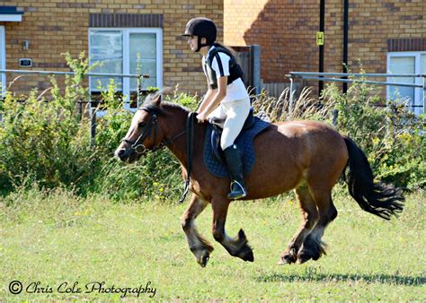 REINA SUNSHINE RIDING THOR JOHNSON .